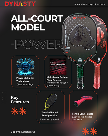 Dynasty Heavyweight T700 Raw Carbon Fiber 16mm Pickleball Paddle [All-Court]